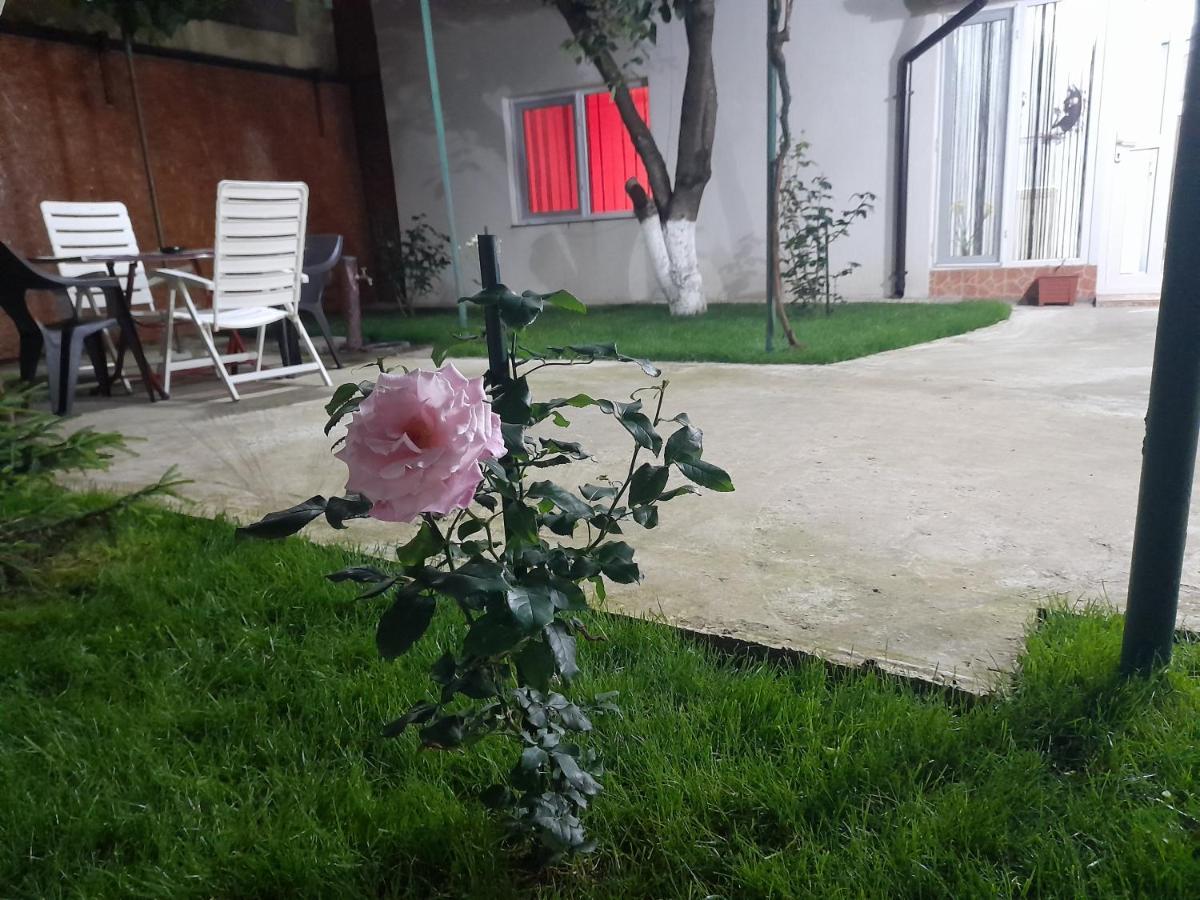 Cazare la mare Patrascu Apartment Constanţa Exterior foto